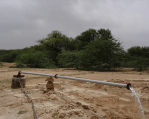 Community Tube wells for Clean Drinking Water1